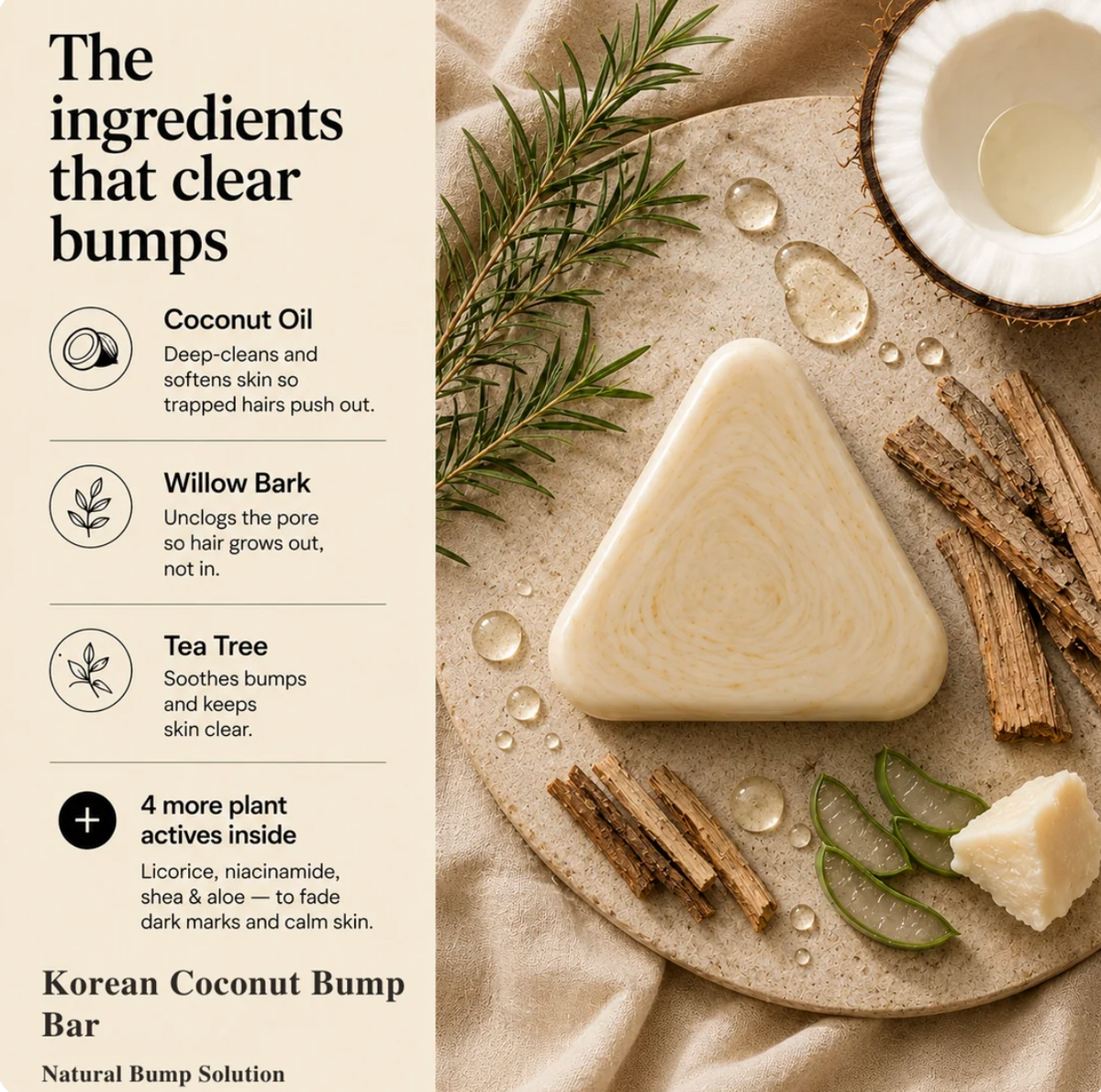 KORVAN™ — Savon coréen au lait de coco